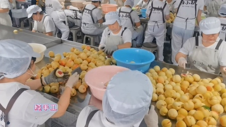 桃罐头