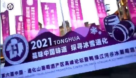 第六届中国山葡萄酒产区高峰论坛暨鸭绿江河谷冰葡萄酒节-1