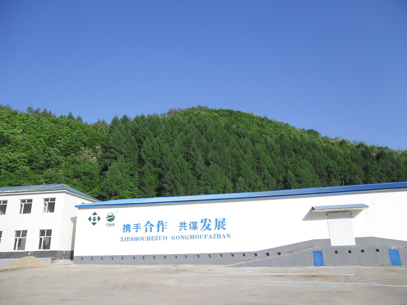 c1.JPG