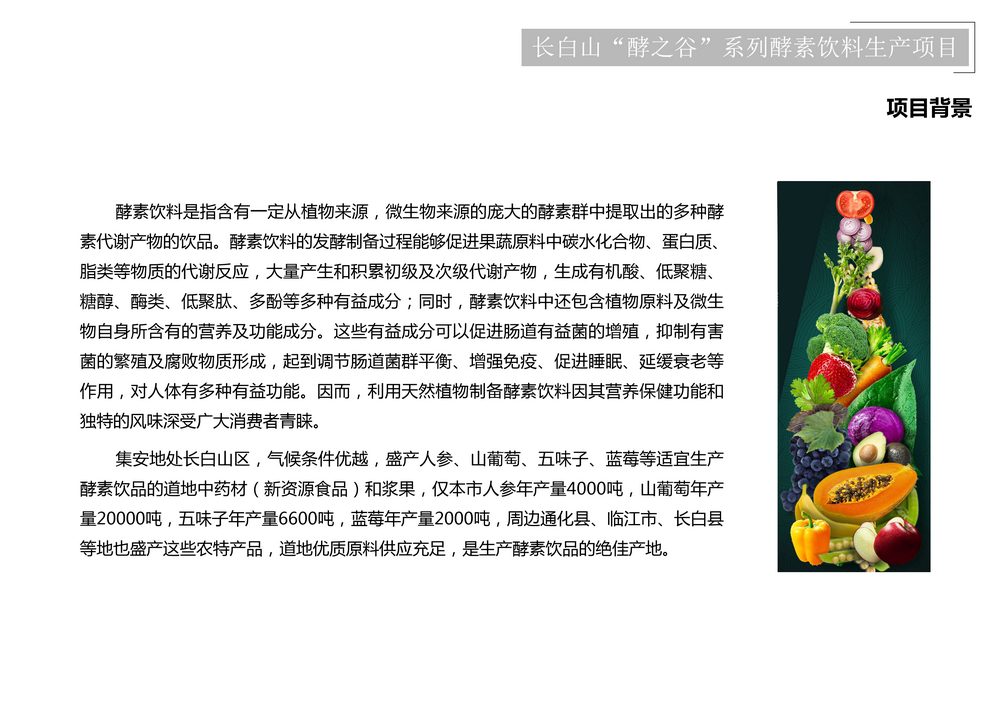 项目介绍_97.png
