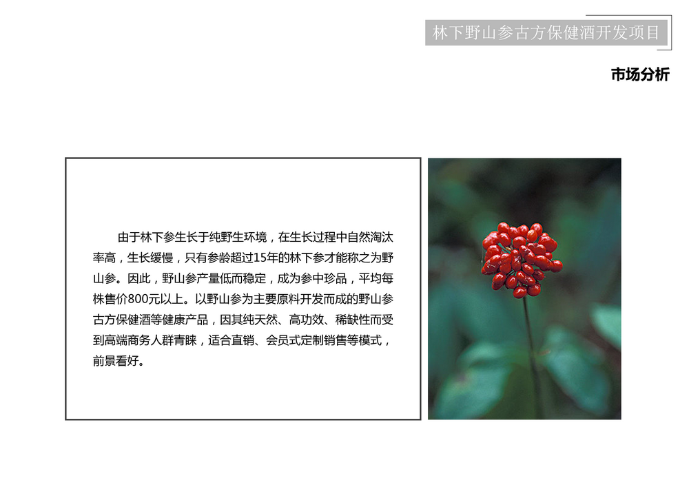 项目介绍_60.png