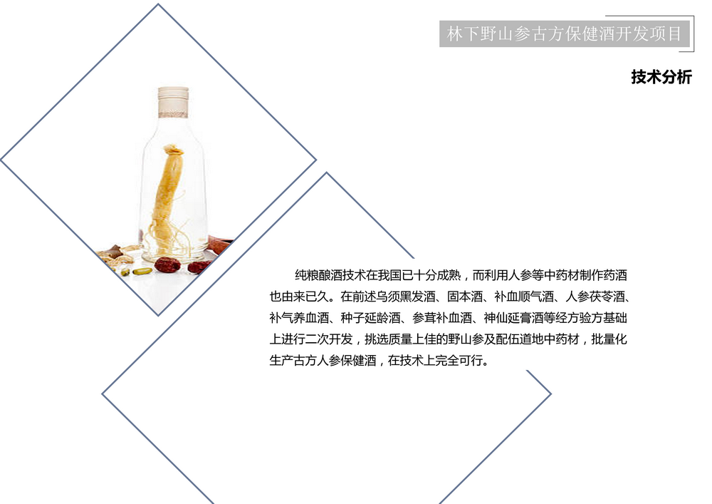 项目介绍_61.png